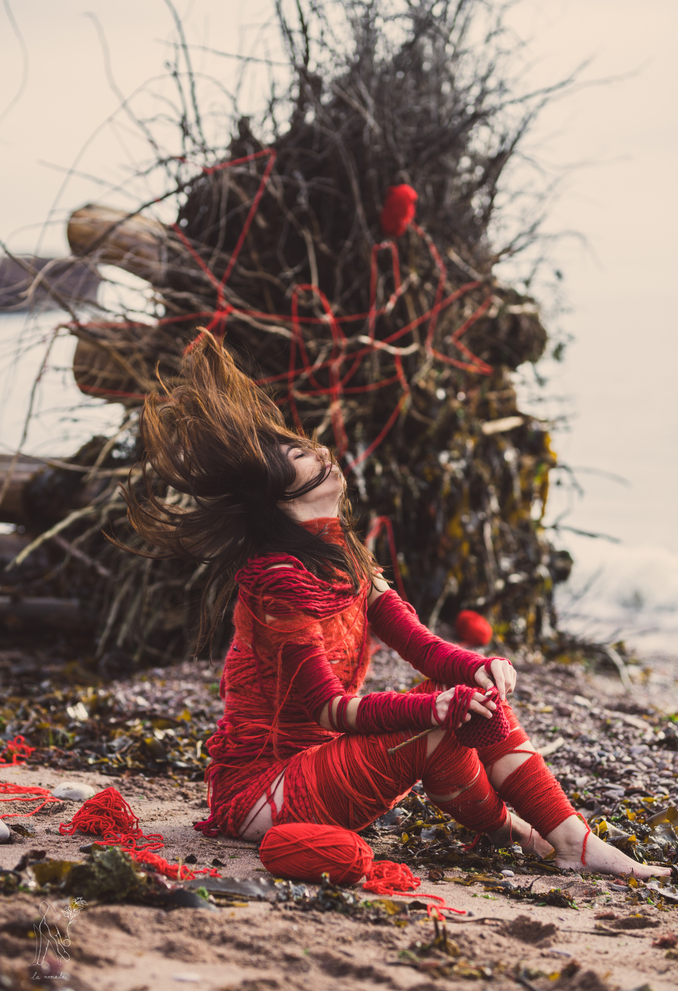 The Scarlet Letter